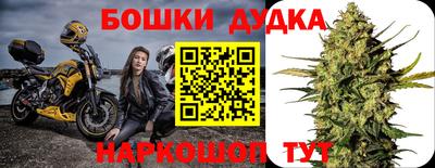 ПСИЛОЦИБИНОВЫЕ ГРИБЫ Гусев