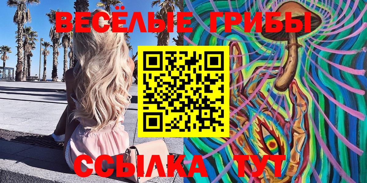 Псилоцибиновые грибы Psilocybine cubensis Нерюнгри